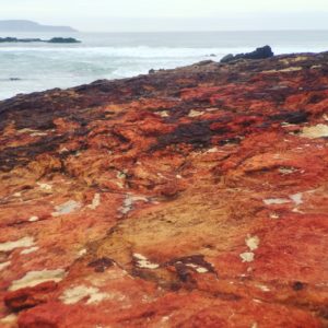 Rocks Philip Island